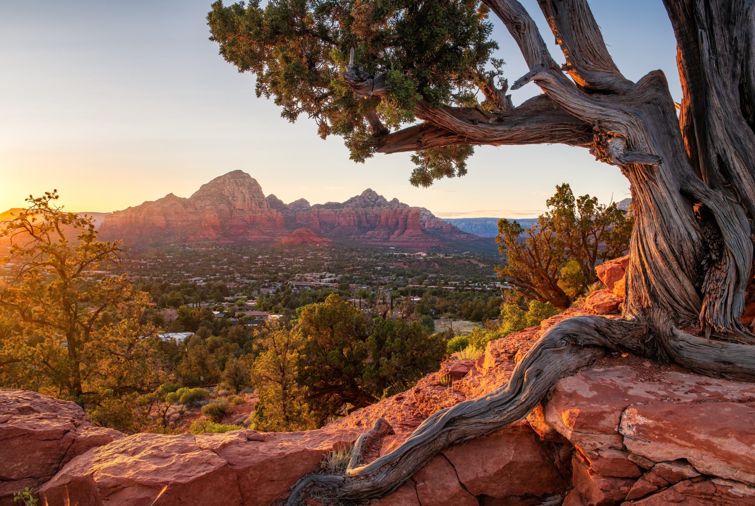 Arizona