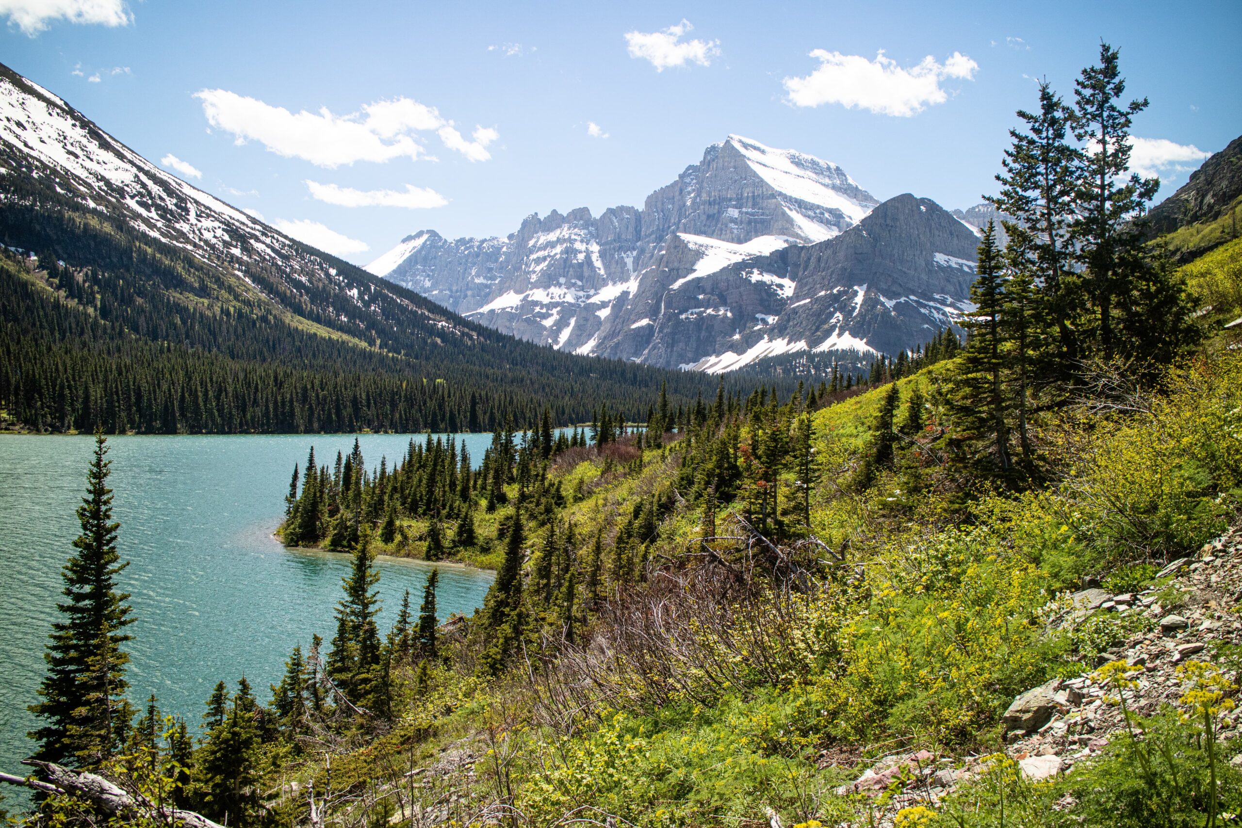 Montana
